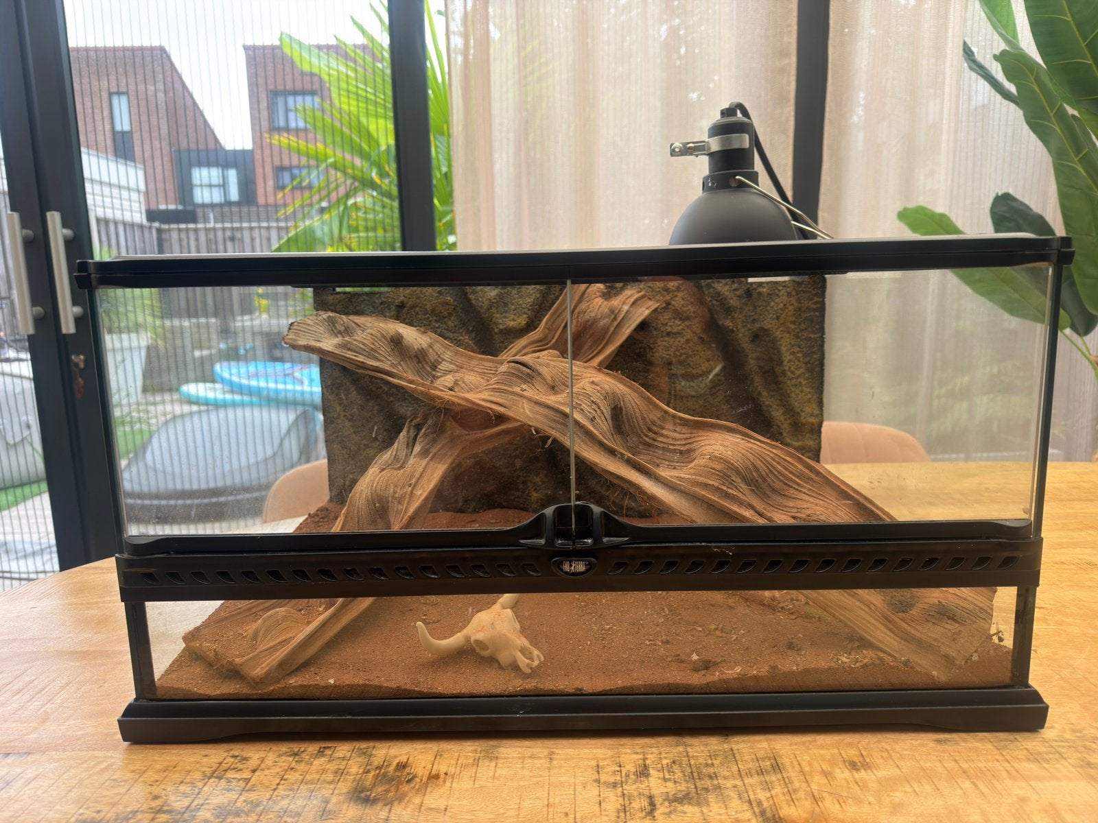 Exo terra terrarium 60x45x30, Ophalen, Zo goed als nieuw