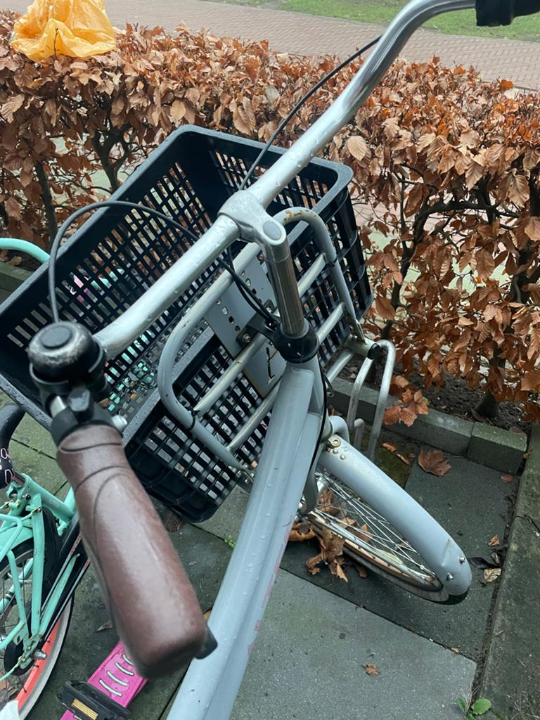 Altec Fiets met mand, Fietsen en Brommers, Fietsaccessoires | Fietsmanden, Ophalen, Gebruikt, Fietsmand