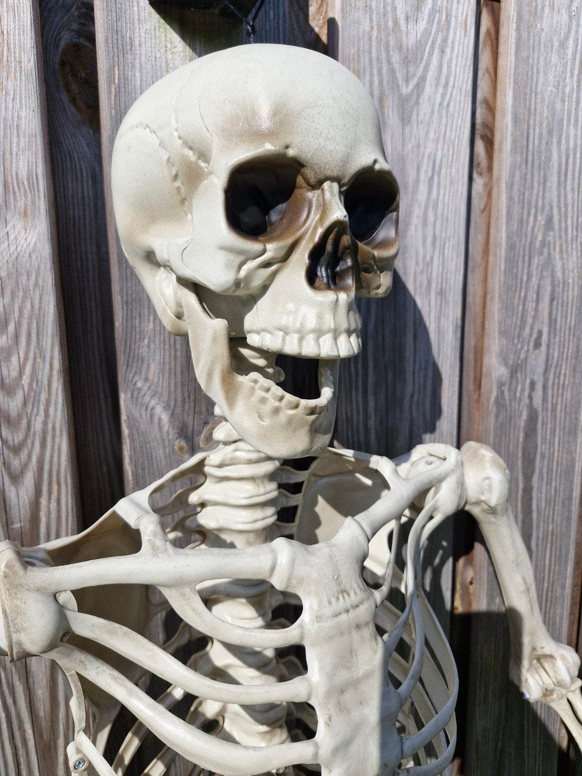 Halloween Skelet Decoratie - 150cm Nieuw in Verpakking, Ophalen of Verzenden, Nieuw, Versiering, Halloween of Griezel