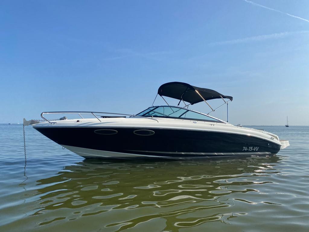 Vaarklaar Sea Ray 240 Cuddy 2017, Ophalen, Zo goed als nieuw, Sea Ray