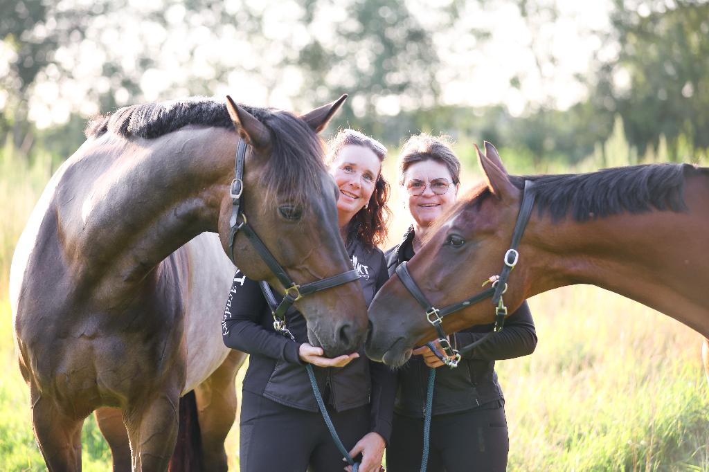 Top plek voor je paard, Dieren en Toebehoren, 1 paard of pony