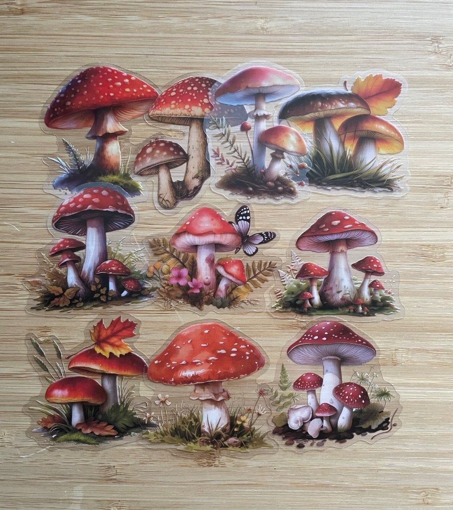Paddenstoelen stickers, Verzenden, Nieuw, Meerdere stickers
