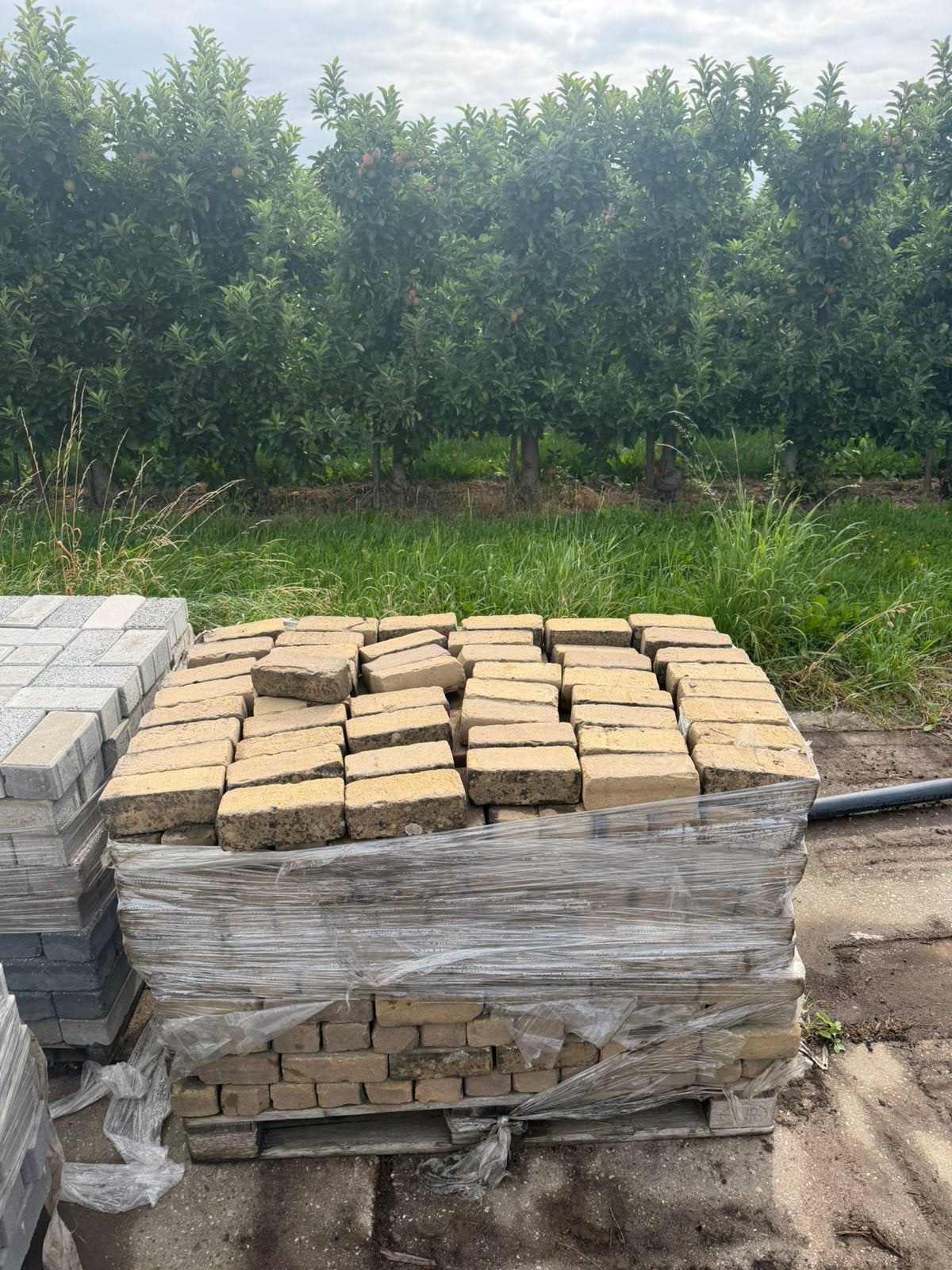 Oud gebakken 7 duimers dikformaat geel, Gebruikt, Keramiek, Klinkers, 5 tot 10 m²
