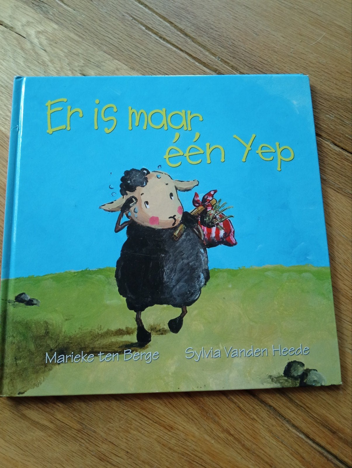 Er is maar één Yep - Prentenboek over een zwart schaap, Ophalen of Verzenden, Zo goed als nieuw, Marieke ten Berge, Sylvia Vanden Heede