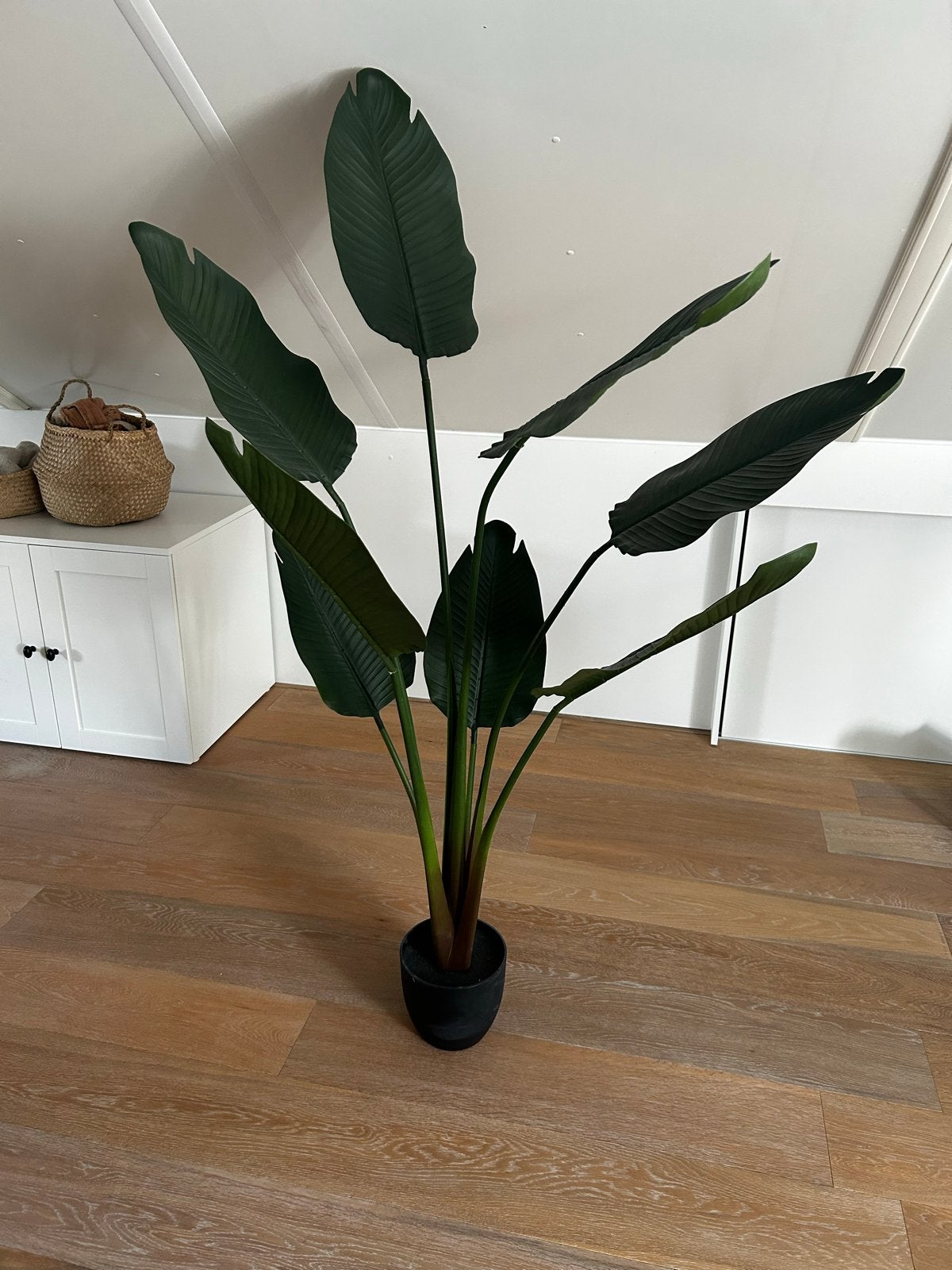Grote Kunstplant Strelitzia - Realistisch en Onderhoudsvrij, Ophalen, Binnen, Groen, Kunstplant
