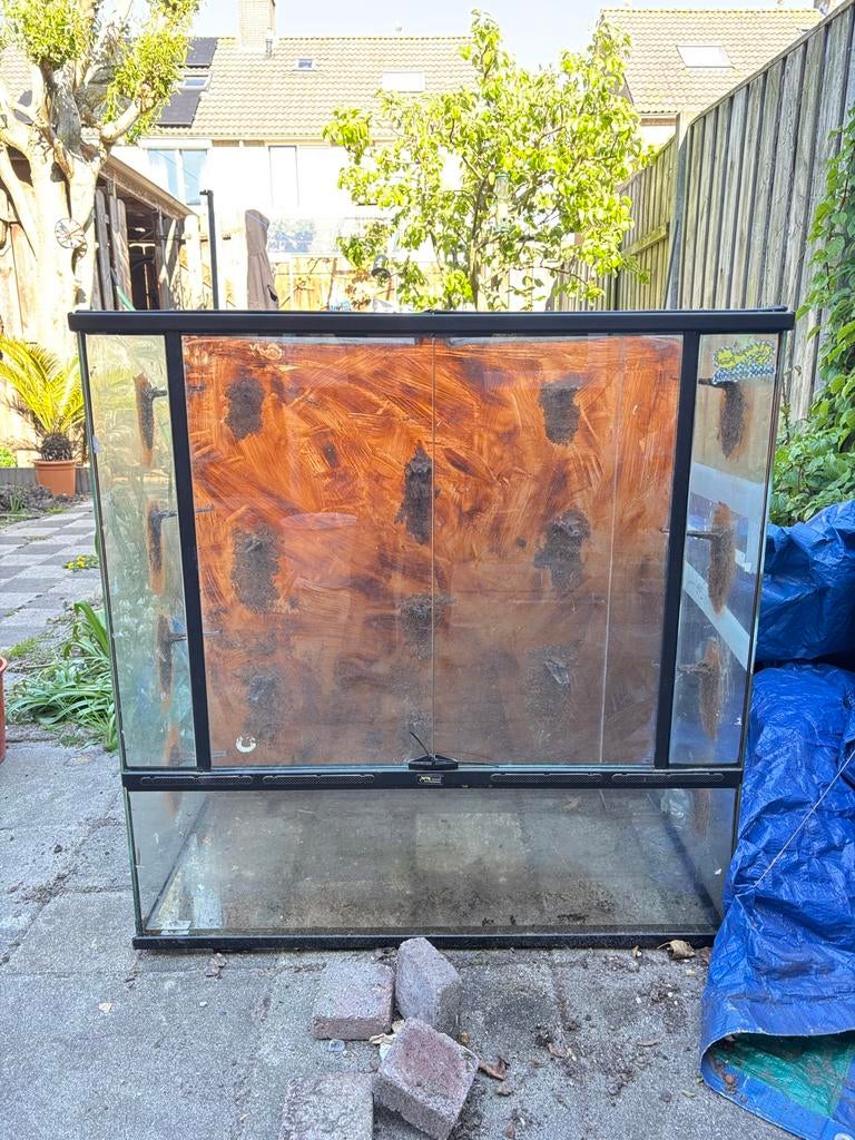 Prachtig PALUDARIUM! 90x90x45cm🌱🦎, Ophalen, Gebruikt, Terrarium of Paludarium