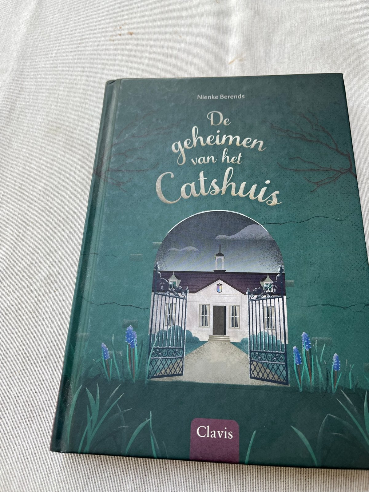 De geheimen van het Catshuis - Nienke Berends, Boeken, Ophalen, Zo goed als nieuw, Fictie algemeen