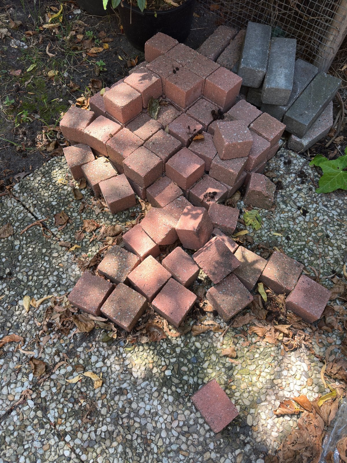 Gratis, vierkante rode klinkers 7,5x5,5, Tuin en Terras, Ophalen, Gebruikt, Beton, Klinkers