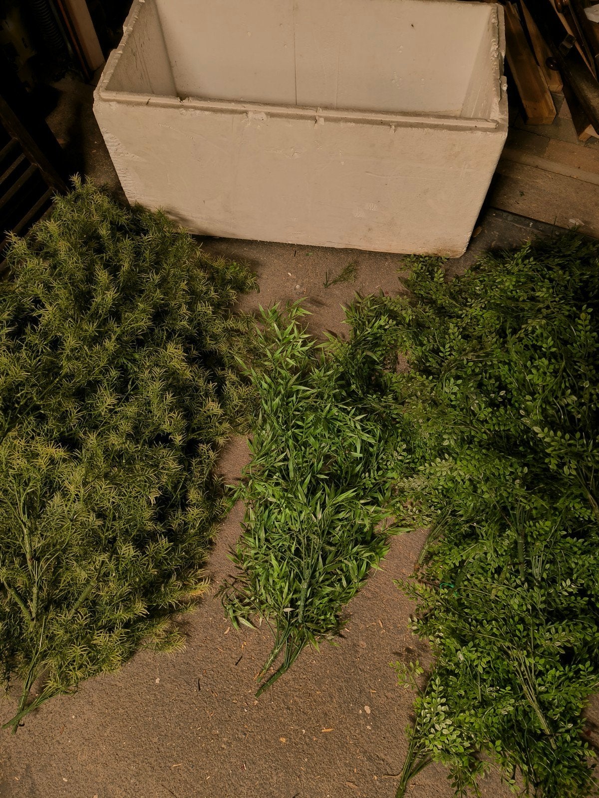 Sierplanten, Ophalen, Overige soorten, Minder dan 100 cm