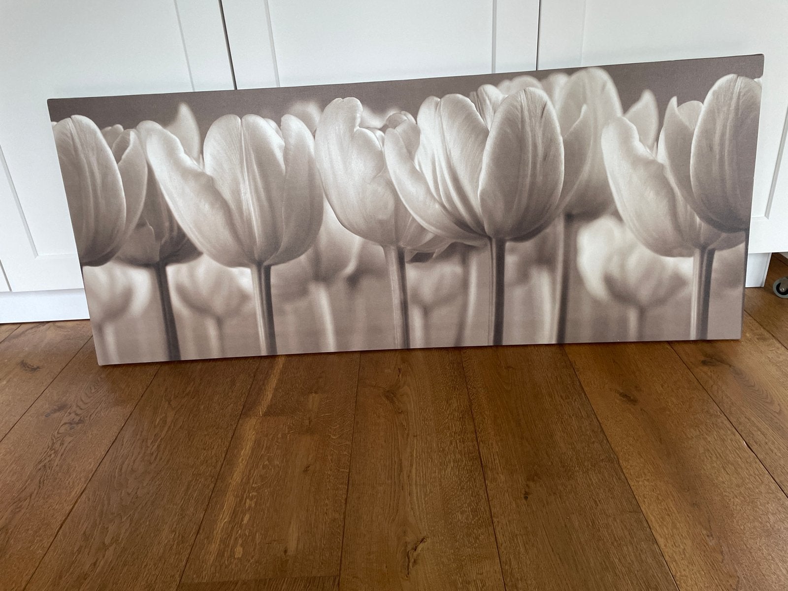 Groot Canvas Schilderij Tulpen Sepia Taupe 240x56,5cm, Ophalen, 50 – 75, 125 cm of meer, Print