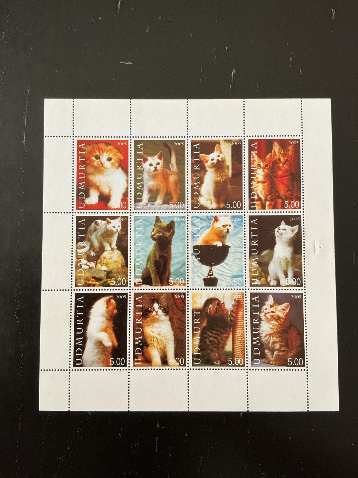 UdMurtia 2005 Katten Postzegelvel - Postfris, Ophalen of Verzenden, Postfris