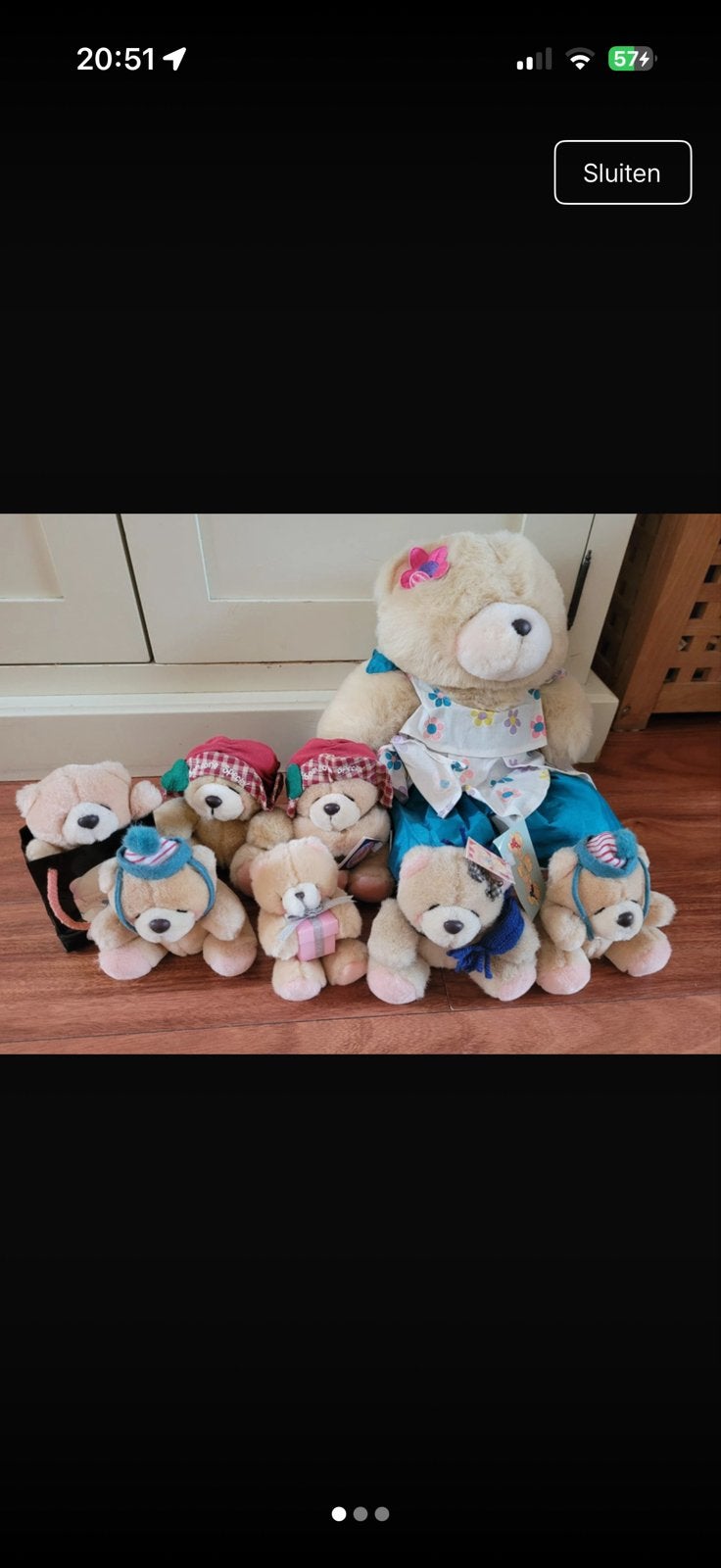 Forever Friends Knuffelberen Collectie, Overige merken, Overige karakters, Beer, Ophalen of Verzenden