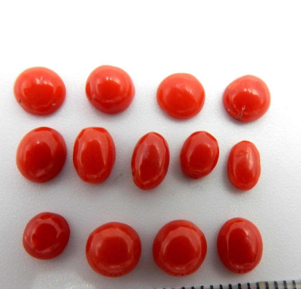 12 cabochons van donkerrood bloedkoraal, Ophalen of Verzenden, Nieuw