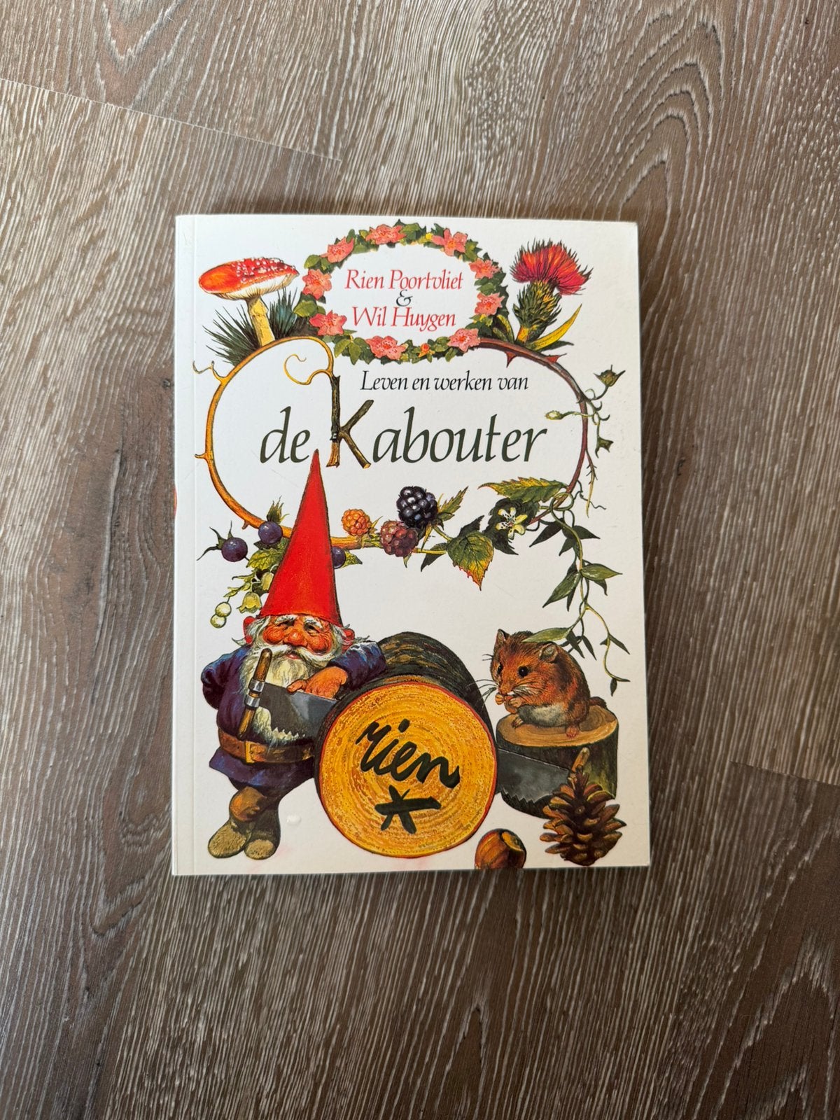 Leven en werken van de Kabouter van Rien Poortvliet, Boeken, Ophalen of Verzenden, Zo goed als nieuw