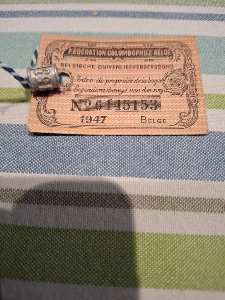 Ring 1947 belg, Mannelijk, Postduif