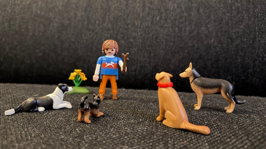 9279 Playmobil City Life Hondenbegeleider, Kinderen en Baby's, Speelgoed | Playmobil, Ophalen of Verzenden, Zo goed als nieuw