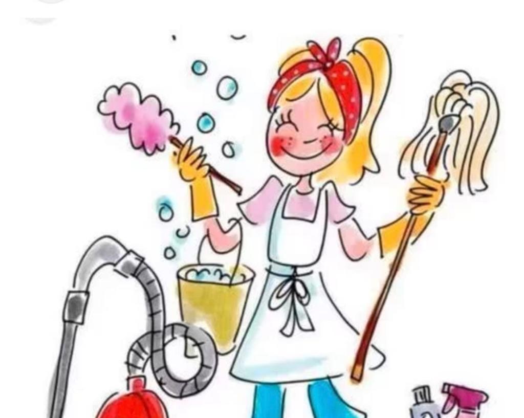 Hulp gezocht huishouding Weert, Overige uren, Overige niveaus, Overige vormen