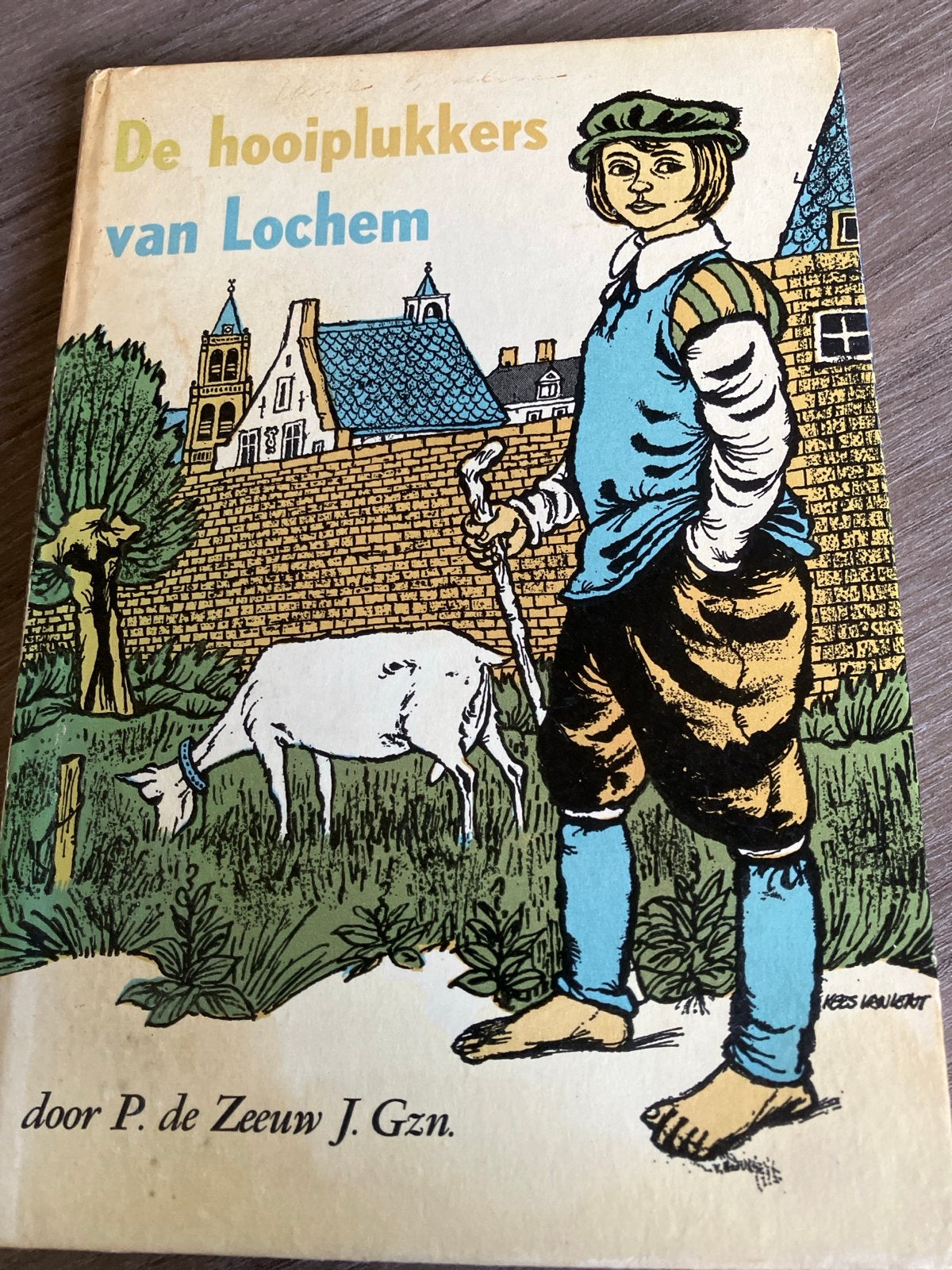 De hooiplukkers van Lochem - P. de Zeeuw J. Gzn., Verzenden, Gelezen, Fictie algemeen