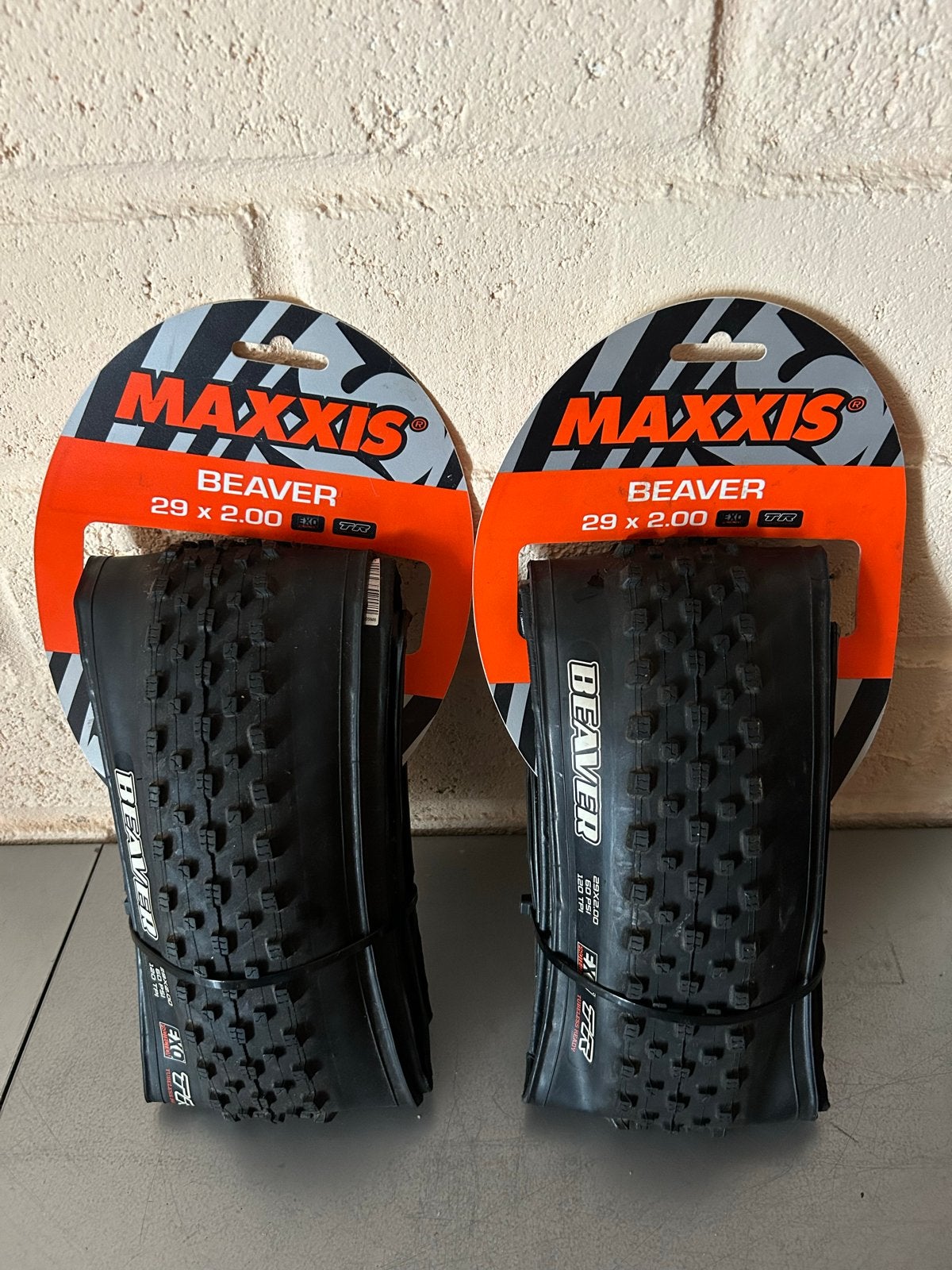 Maxxis Beaver 29 x 2.00 EXO TR MTB banden (nieuw), Band, Nieuw, Ophalen of Verzenden, Mountainbike