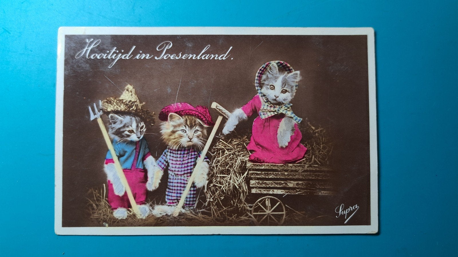 hooitijd in poesenland. kat poes 1931, Ophalen of Verzenden, 1920 tot 1940, Gelopen, Hond of Kat