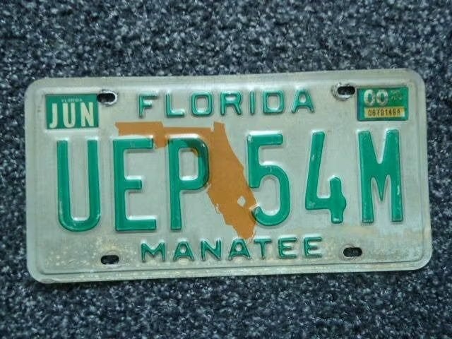 Kentekenplaat licenseplate Manatee Florida 1 USA, Verzenden, Gebruikt, Auto's