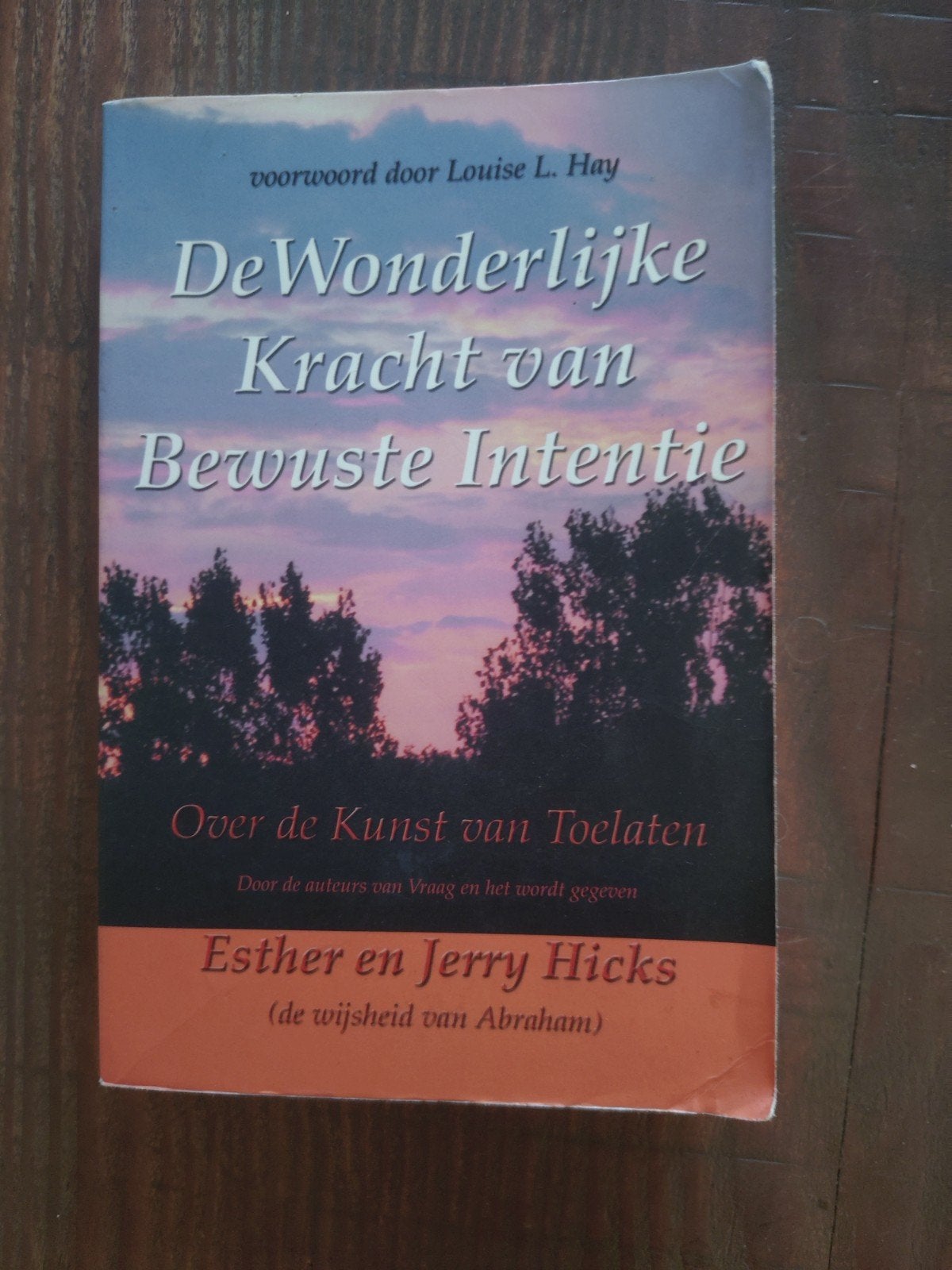 De Wonderlijke Kracht van Bewuste Intentie, Boeken, Achtergrond en Informatie, Spiritualiteit algemeen, Ophalen of Verzenden, Zo goed als nieuw