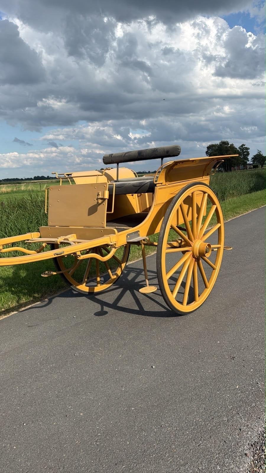 Friese sjees/menwagen te koop, Zo goed als nieuw, Overige typen, Paard