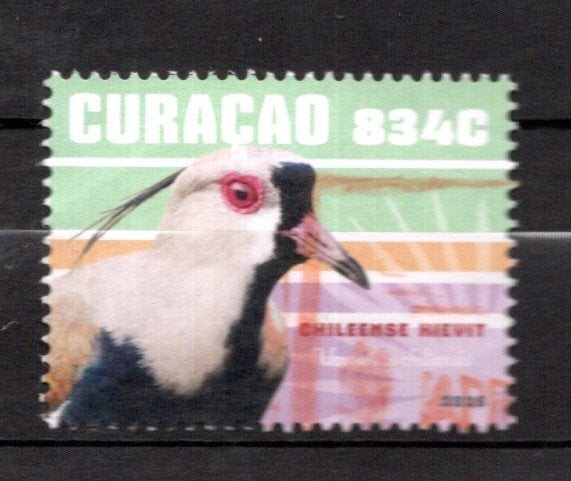 gestempeld zegel. Curaçao. Jaar 2025. Vogel hoogste waarde, Verzenden, Gestempeld