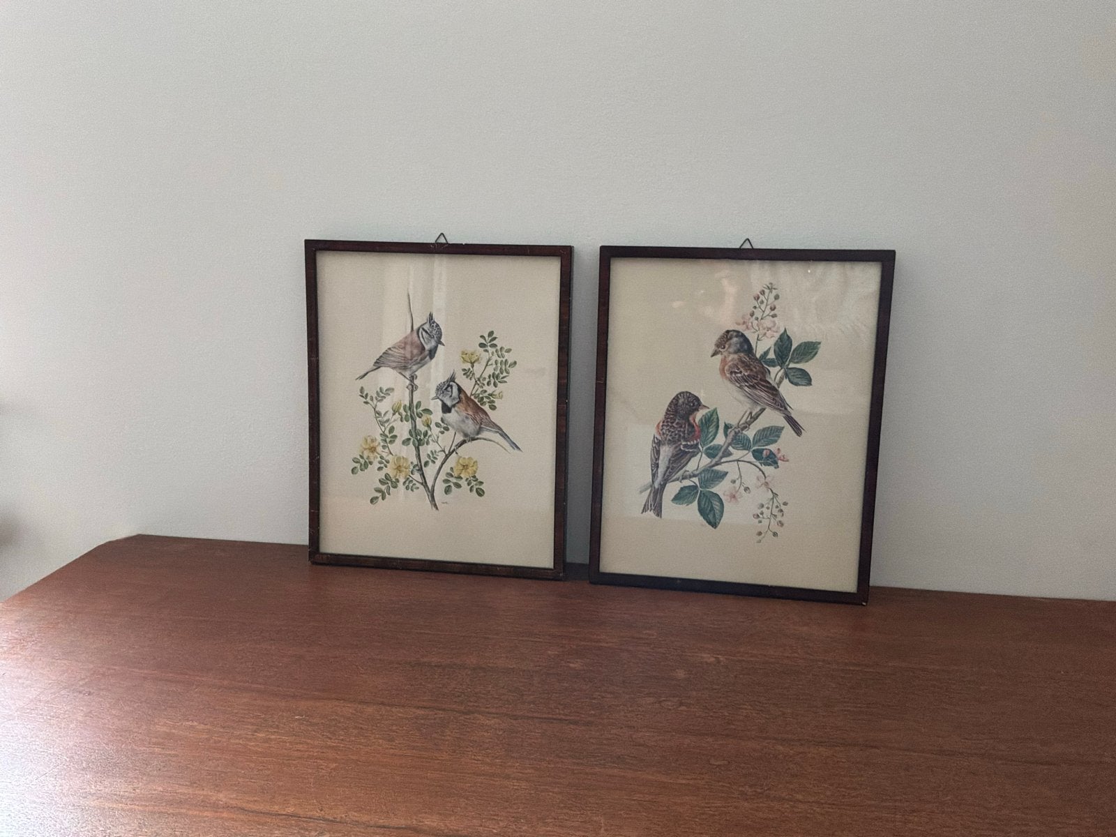 Set van 2 ingelijste vogelprints - 31,5 x 25 cm, Achter glas, Dieren, Ophalen of Verzenden, Klassiek