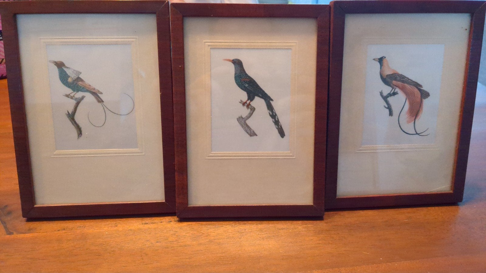 Vintage set van 3 ingelijste vogelprints, Minder dan 50 cm, Gebruikt, Ophalen of Verzenden, Print