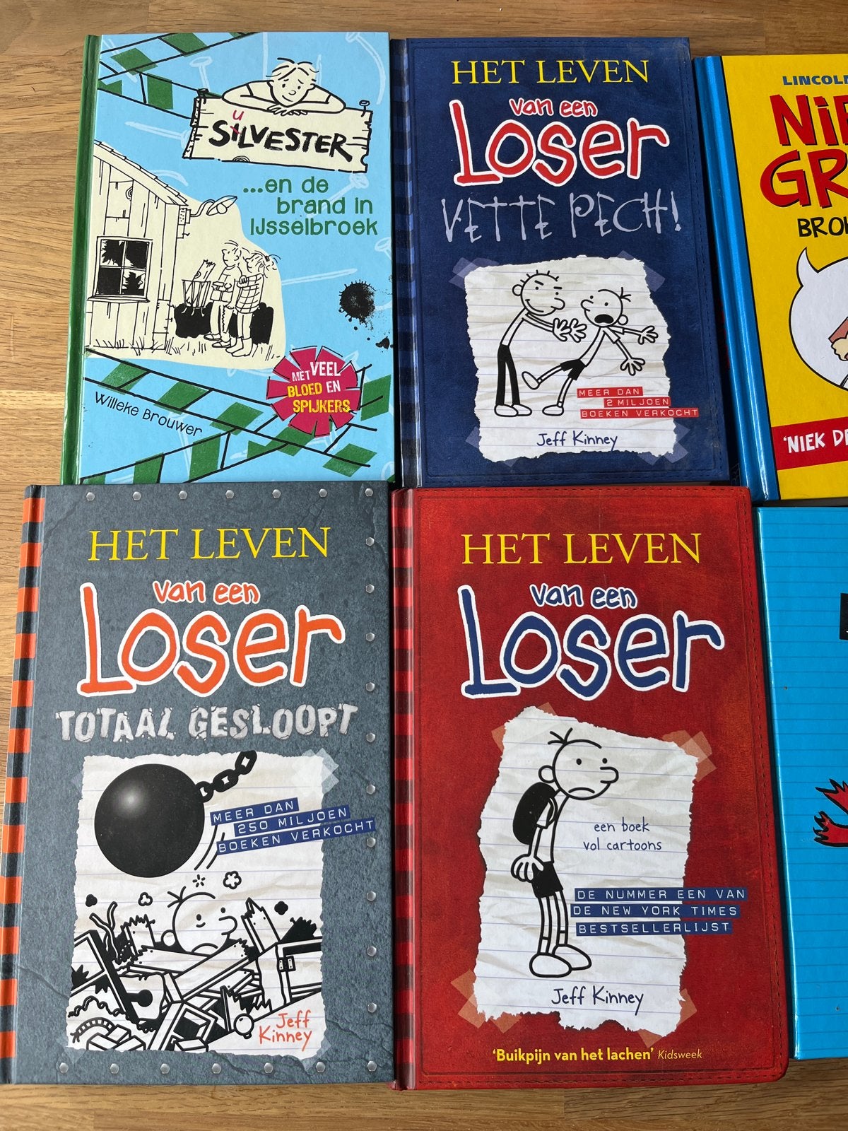 Grote collectie kinderboeken: Het Leven van een Loser, Silve, Ophalen, Gelezen, Fictie algemeen