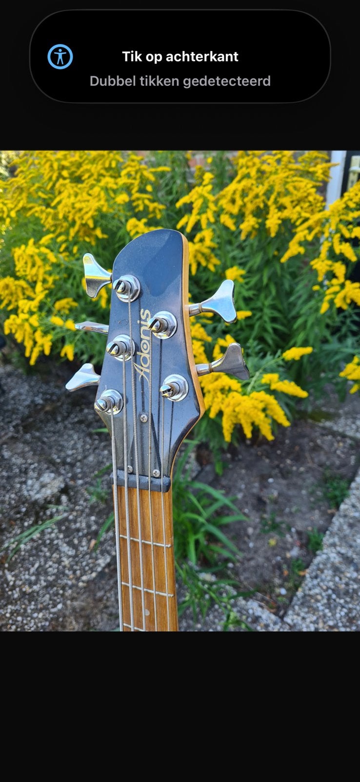 Adonis 5-snarige elektrische basgitaar – naturel hout, Ophalen of Verzenden, Zo goed als nieuw