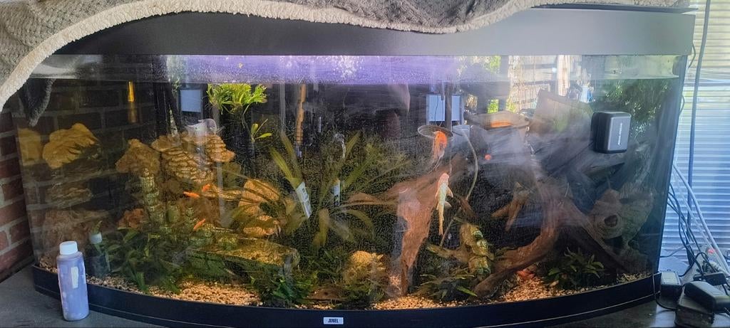 Aquarium, Dieren en Toebehoren, Ophalen, Leeg aquarium