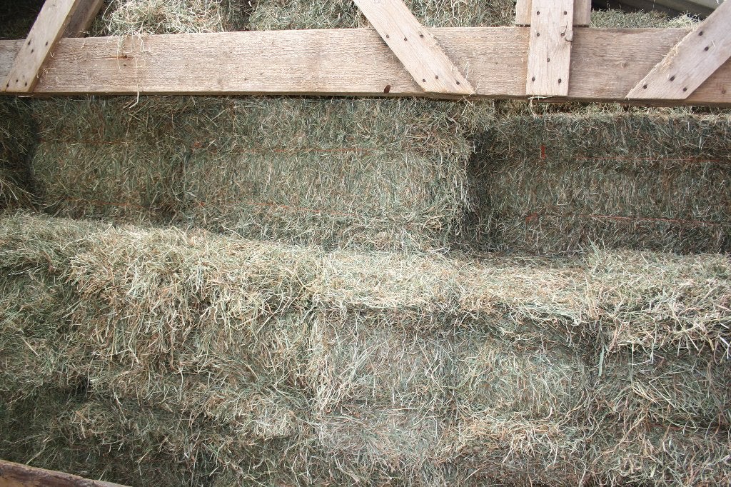 Hooi hooibaaltjes hooibalen balen hooibaal paardenhooi 2e, Dieren en Toebehoren, Ophalen, Vee