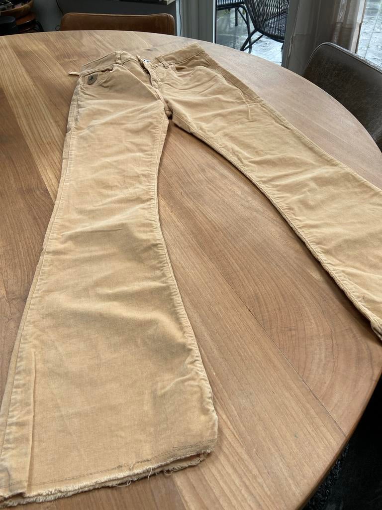 Lois Ribbroek Flared Maat 28 - Beige, Beige, Ophalen of Verzenden, Maat 36 (S), Lang