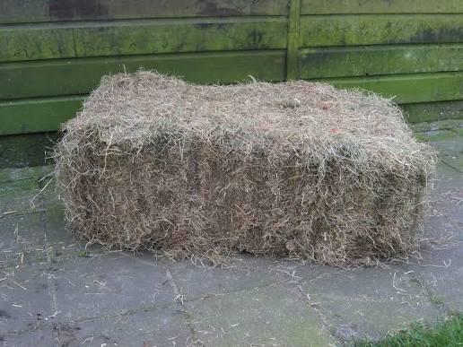 Spoed hooi nodig !!, Dieren en Toebehoren, Dierenvoeding, Ophalen of Verzenden, Vee