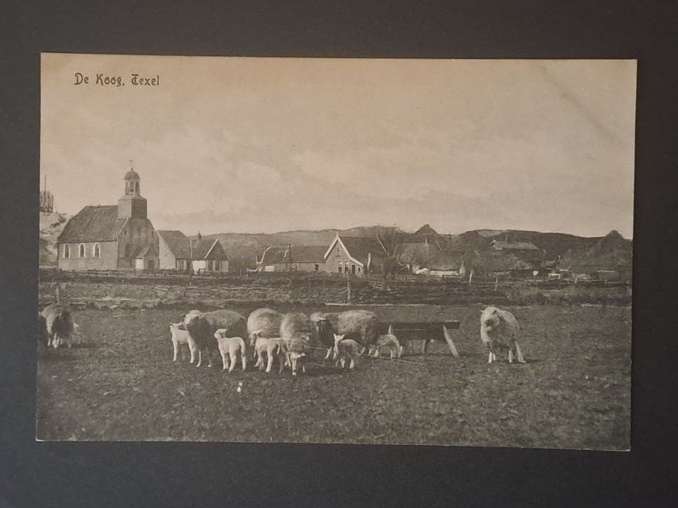 Texel Noord Holland Zicht op De Koog 1918, Verzenden, Voor 1920, Gelopen, Noord-Holland
