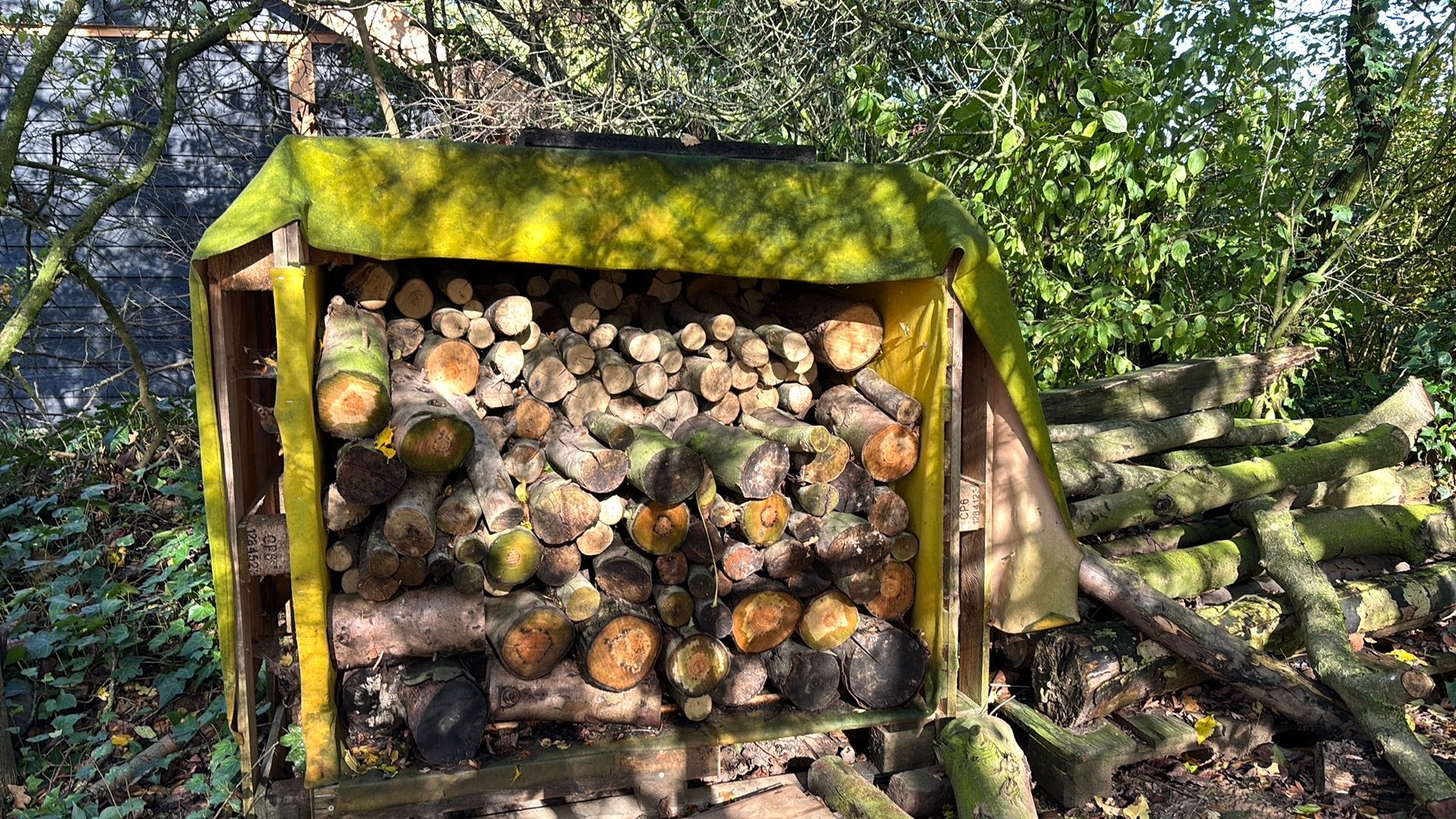 Haardhout, Minder dan 3 m³, Ophalen of Verzenden, Blokken