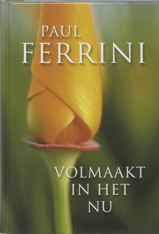 Volmaakt in het nu, Paul Ferrini, Ophalen of Verzenden, Zo goed als nieuw, Spiritualiteit algemeen, Overige typen