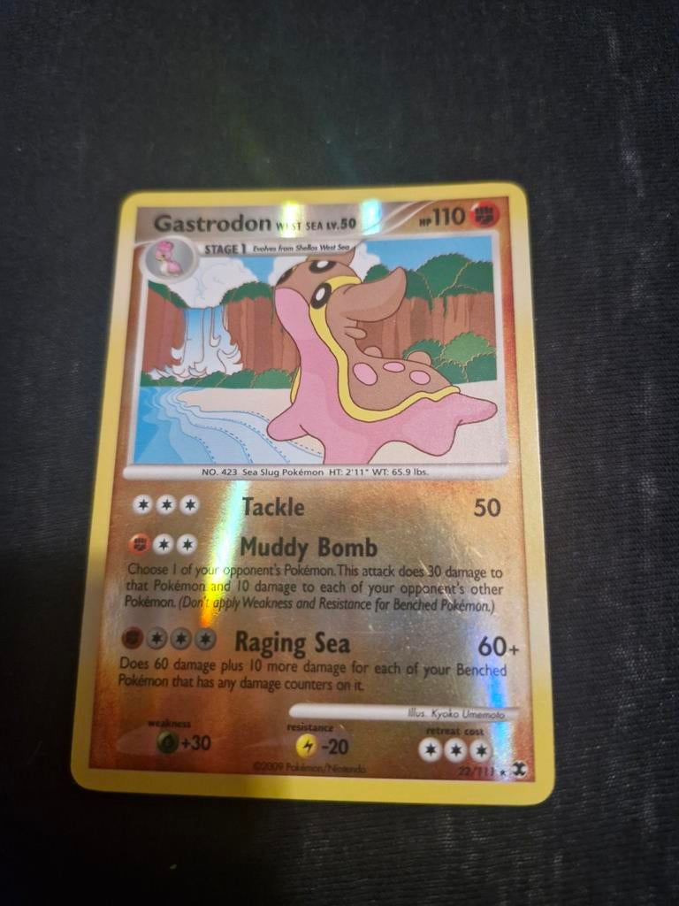 Gastrodon, Ophalen of Verzenden