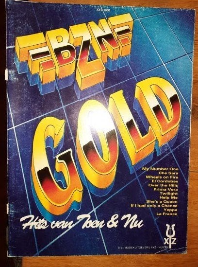 piano, zang, gitaar-BZN GOLD-hits van Toen & Nu-palingsound, Gitaar, Ophalen of Verzenden, Zo goed als nieuw, Artiest of Componist