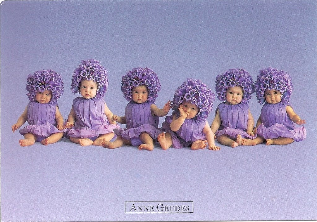 Anne Geddes, Verzenden, Ongelopen, Utrecht