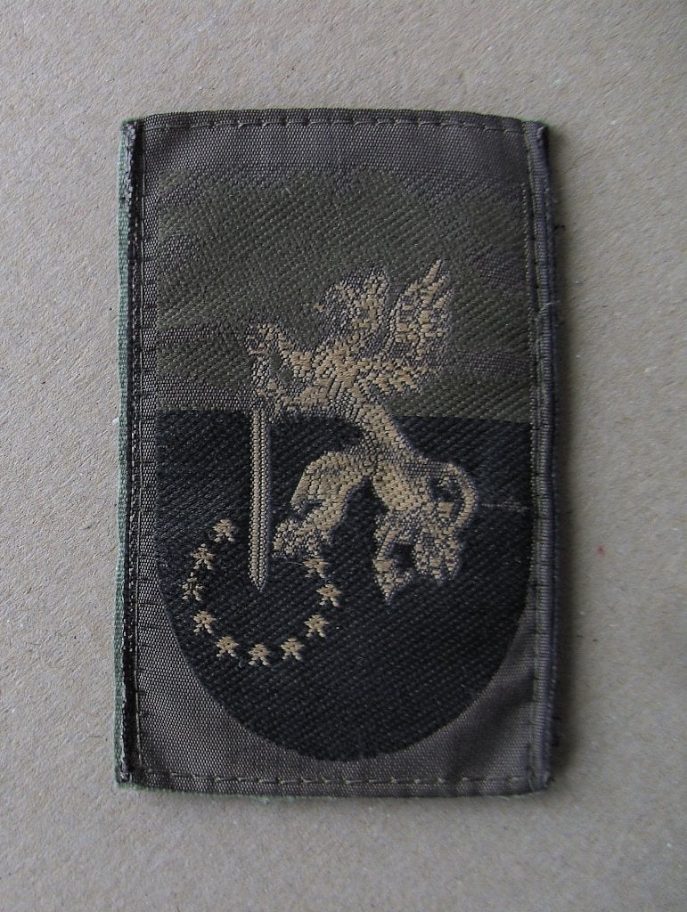 gvt embleem  -  41e Lichte Brigade, Ophalen of Verzenden, Landmacht, Nederland, Embleem of Badge