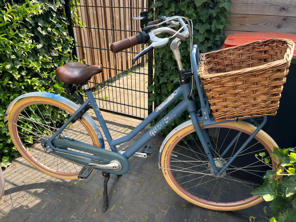 Gazelle Miss Grace damesfiets met mand en 3 versnellingen, Ophalen, Versnellingen, Gazelle, Trommelrem