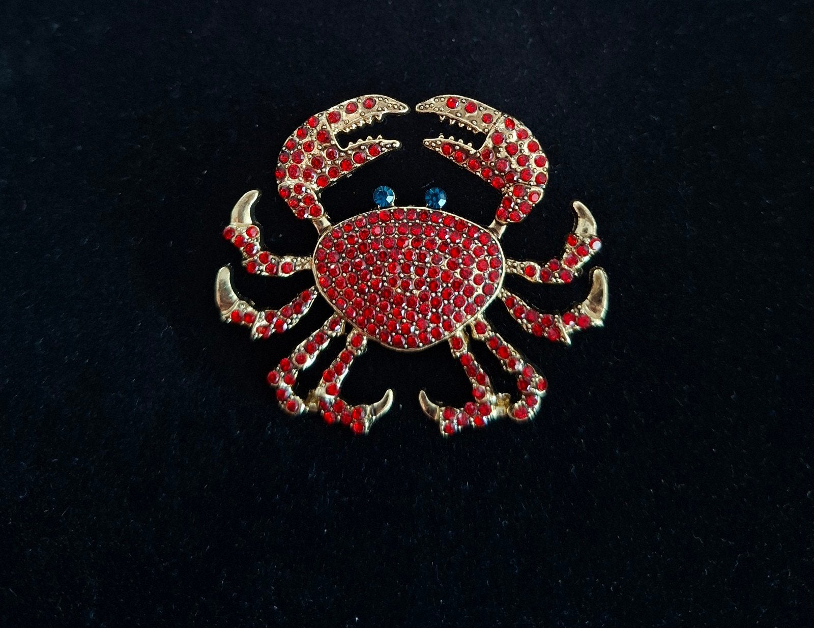 Broche met Rode Strass en Blauwe Ogen, Overige materialen, 4 tot 7 cm, Nieuw, Ophalen of Verzenden