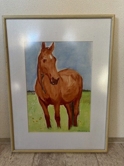 Waterverf schilderij, Paard, 40 x 30 cm  € 60,00, Aquarel, Papier/karton, Ophalen of Verzenden, Dieren