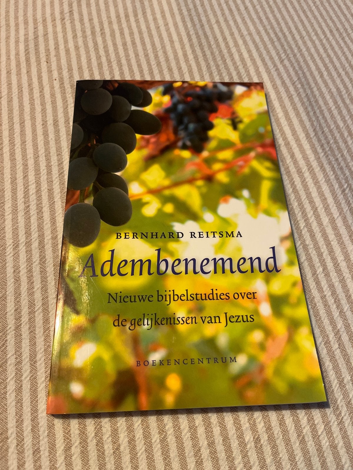 Adembenemend - Nieuwe Bijbelstudies over Jezus' Gelijkenisse, Ophalen of Verzenden, Zo goed als nieuw, Christendom | Protestants