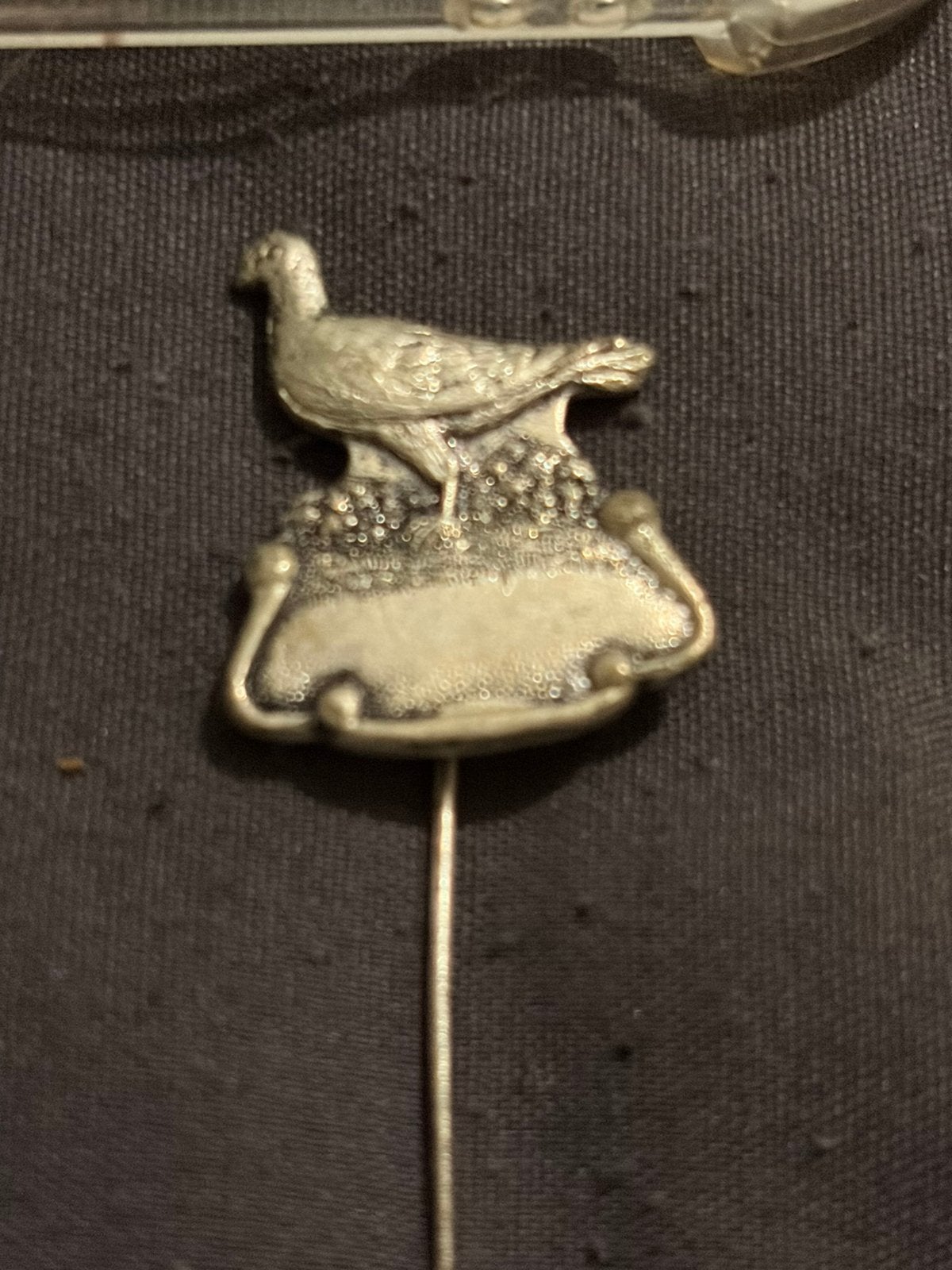 Vintage detailed silver plated revers pin of a pigeon,, Ophalen of Verzenden, Zo goed als nieuw