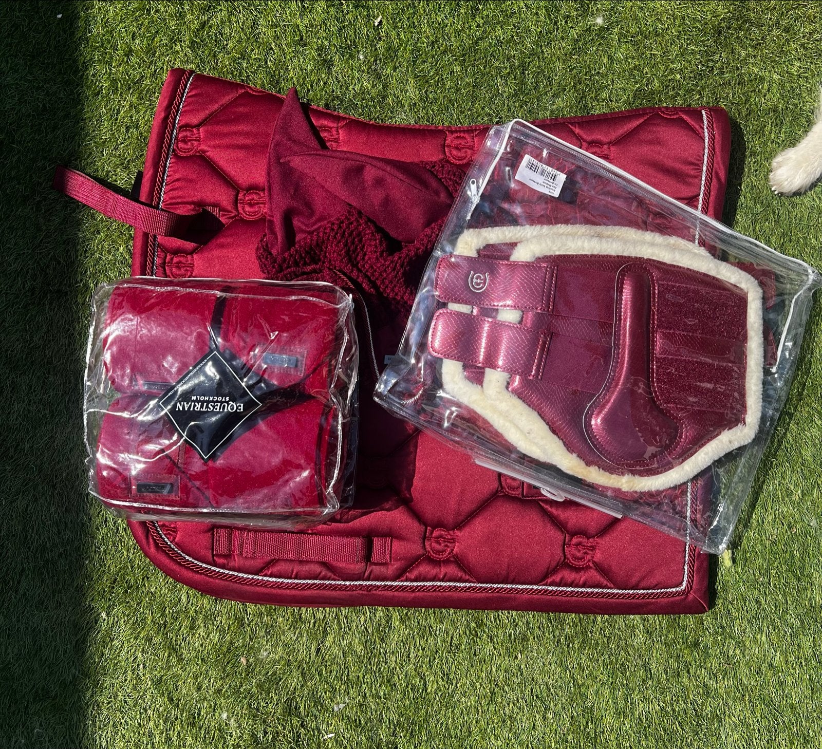 Equestrian stockholm bordeaux set full, Dieren en Toebehoren, Ophalen of Verzenden, Zo goed als nieuw, Dressuur