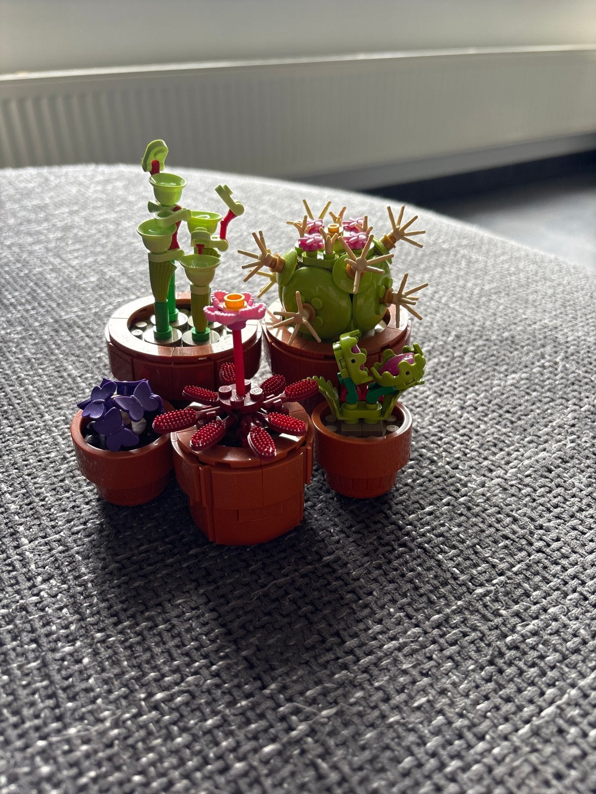 LEGO Botanische Collectie - Succulenten en Cactussen, Ophalen of Verzenden, Zo goed als nieuw, Overige merken